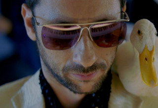 "כן" (צילום: באדיבות טרנספקס)