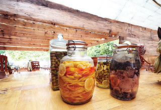 לימונים כבושים (צילום: פסקל פרץ-רובין)