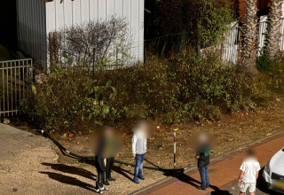 כנופיית הנערים בפתח תקווה (צילום: דוברות המשטרה)