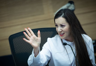 ח"כ טלי גוטליב (צילום: יונתן זינדל, פלאש 90)