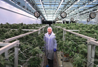 מנכ"ל קרונוס ישראל אדם וגנר  (צילום: יוסי זליגר)