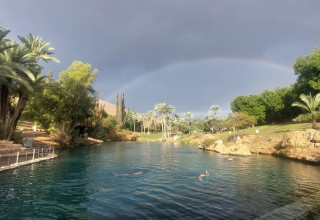 גן השלושה (צילום: אורי אוחיון רשות הטבע והגנים)