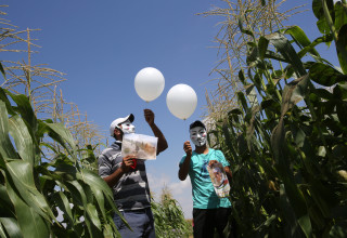 פלסטינים מפריחים בלוני תבערה לעבר ישראל (צילום: עטייה מוחמד, פלאש 90)
