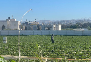 תופעת השבחים בקו התפר (צילום: אלון חכמון)