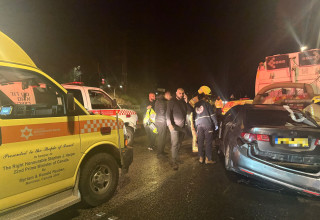 תאונה קטלנית בין רכב למשאית בכביש 65 בסמוך לצומת מי עמי (צילום: תיעוד מבצעי מד"א)