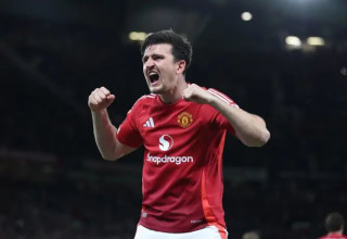 הארי מגווייר (צילום: אימג'בנק  GettyImages)