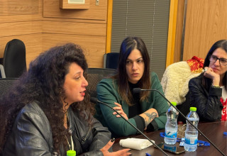 שי-לי עטרי (צילום: באדיבות הכנסת)