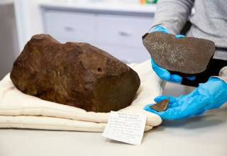 הממצא הנדיר (צילום: מוזיאון ויקטוריה)