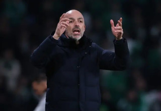 השפלה. לאזטיץ' (צילום: מאור אלקסלסי)