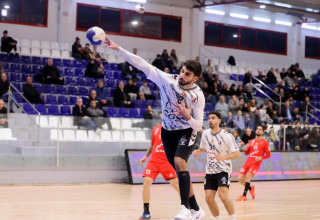 כדוריד (צילום: אתר רשמי, הדר ואן קולא, איגוד הכדוריד)