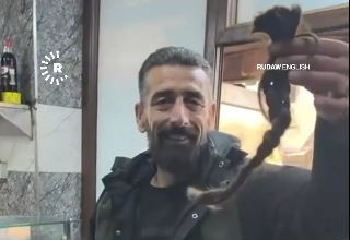 החמוש הסורי משחק עם צמה של לוחמת כורדים שנרצחה בקרבות (צילום: צילום מסך רשת X)