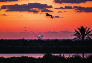 מאגר לוויתן (צילום: דור פזואלו, פלאש 90)