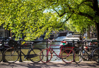 אופניים באמסטרדם (צילום: שאטרסטוק)