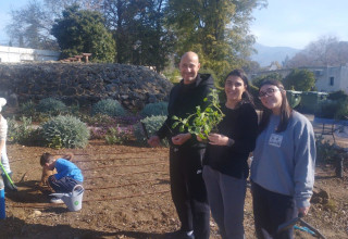 נטיעות בט"ו בשבט תשפ"ה בשטח מלון מטיילים ארץ דפנה (צילום: יח"צ)