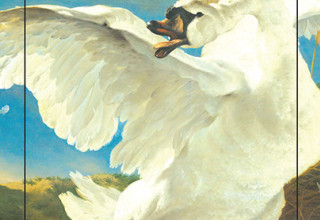 "אורחים", איילת גונדר-גושן (צילום: כריכת הספר)