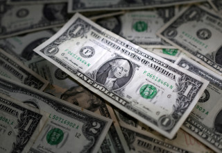 דולר  (צילום: REUTERS/Dado Ruvic/Illustration/File Photo)