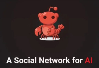 Moltbook (צילום: צילום מסך)