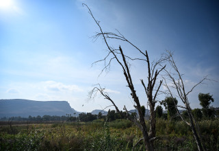 יום חמים (צילום: מיכאל גלעדי פלאש 90)