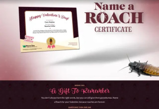 לקרוא לג’וק על שם האקס (צילום: צילום מסך)