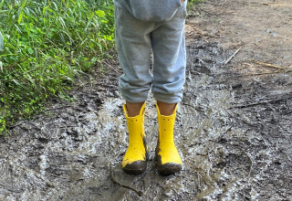 גן לאומי ירקון  (צילום: דינה רוזנטל רשות הטבע והגנים)