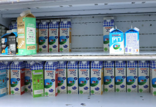 המחסור בחלב (צילום: מארק ישראל סלם)