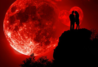 יום האהבה בפלנתניה (צילום: רועי דורון)