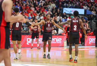 עשו את העבודה. ווינסטון (צילום: לירון מולדובן)