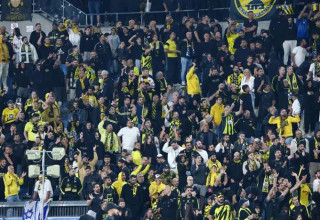 טדי (צילום: דני מרון)