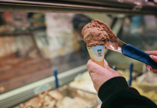 גלידת יטבתה (צילום: יאן ברטן)