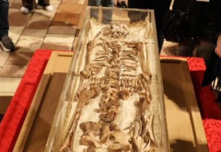 שרידיו של פרנציסקוס מאסיזי (צילום: צילום מסך רשת X,צילום מסך לפי סעיף 27א)