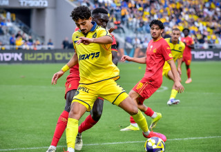 עונת שיא. רוי רביבו (צילום: אריאל שלום)