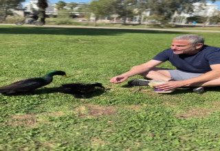 ינון מגל (צילום: ינון מגל)