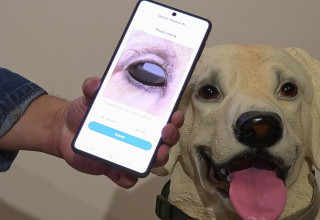 גלקסי החדש. אין פריצות דרך (צילום: סמסונג)