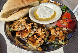 קבב ים הירושלמית (צילום: ניר קיפניס)