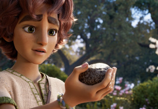 דוד (צילום: טוליפ אינטרנטימנט)