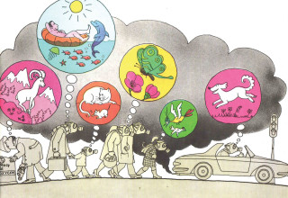 התיבה של ברבאבא (צילום: הוצאת כנזרת זמורה ביתן)