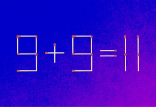 אתגר (צילום: צילום מסך)