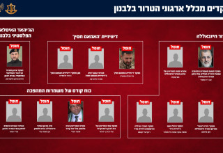 חיסול מפקדים מכלל ארגוני הטרור בלבנון במהלך מבצע "שאגת הארי" (צילום: דובר צה"ל)