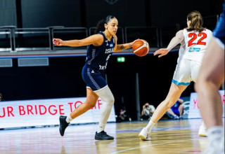 בלי בעיות. דהן סוויץ' (צילום: אתר רשמי, איגוד הכדורסל)