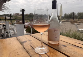 יקב אורן (צילום: מיטל שרעבי)