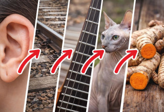 אתגר (צילום: AI)