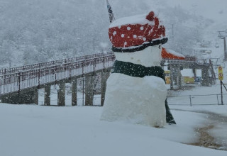 אתר החרמון בשלג  (צילום: אתר החרמון)