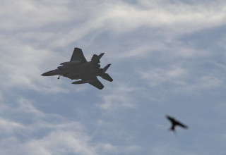 מטוס F-15 (צילום: נתי שוחט, פלאש 90)