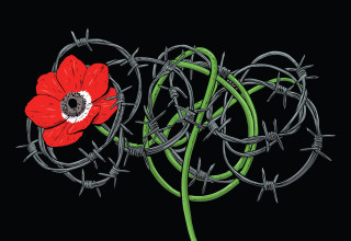 עד שישוב טלה (צילום: אורי פינק)