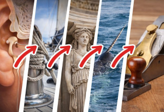 אתגר (צילום: AI)