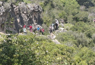 פארק הכרמל. השבת שאחרי המלחמה  (צילום: אייל כהן רשות הטבע והגנים)