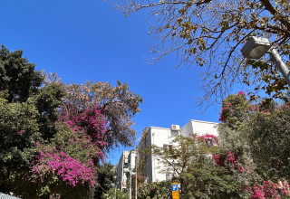 מזג אוויר נעים (צילום: אבשלום ששוני)