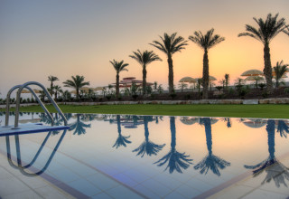 הרודס ים המלח (צילום: איה בן עזרי)