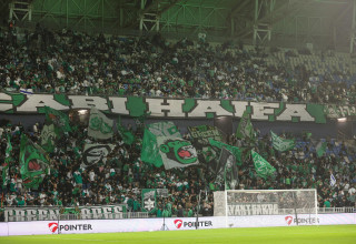 אוהדי מכבי חיפה (צילום: קובי אליהו)