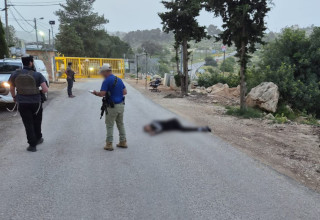 ניסיון פיגוע בישוב נגוהות (צילום: ללא)